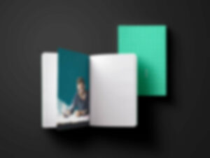 Read more about the article Multiple skins & easy demo data import.