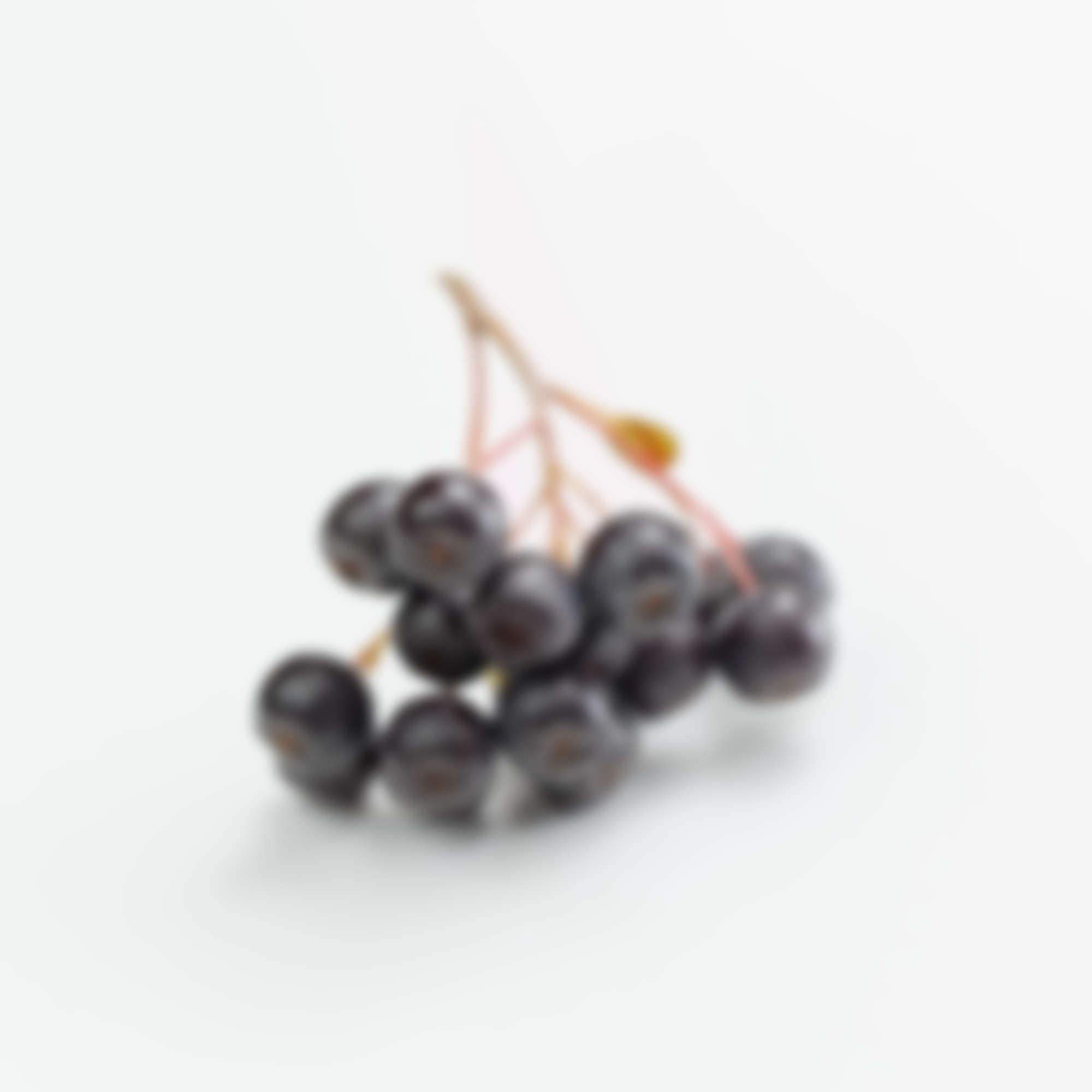 Read more about the article Live Customizer